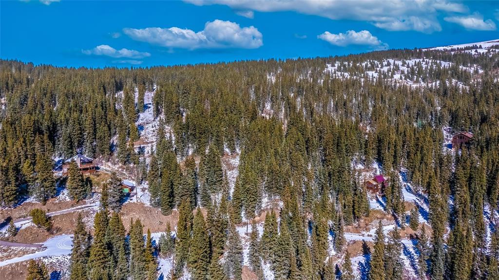 132 Jackson Road Alma, CO 80420 - Photo 3 of 8 Gallery Image 3