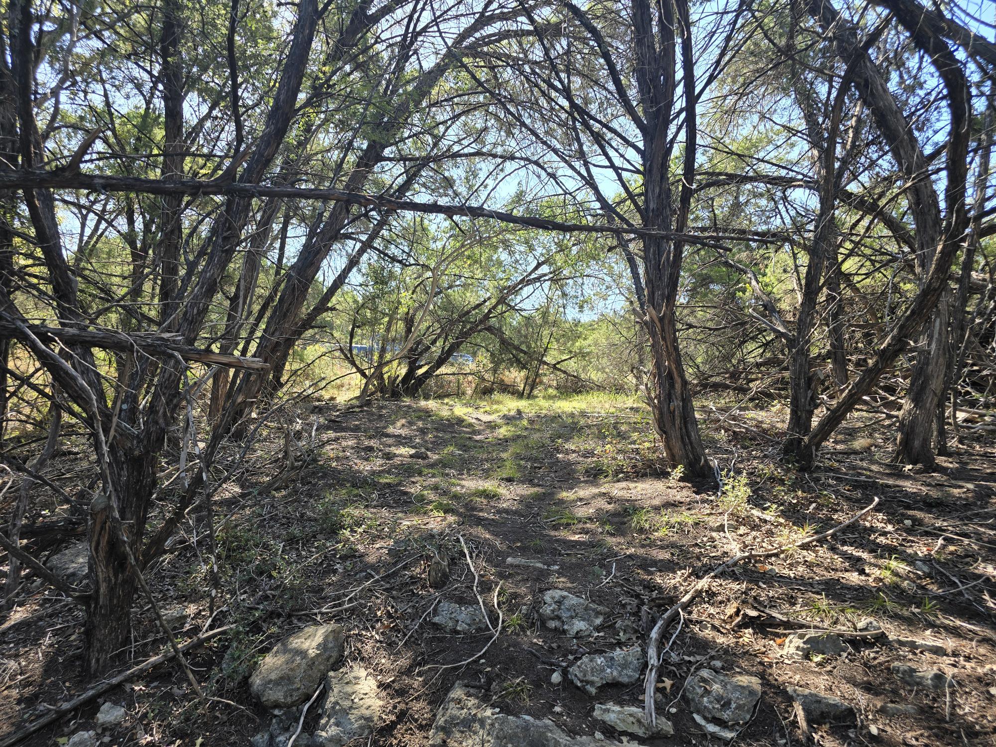 View of local wilderness
