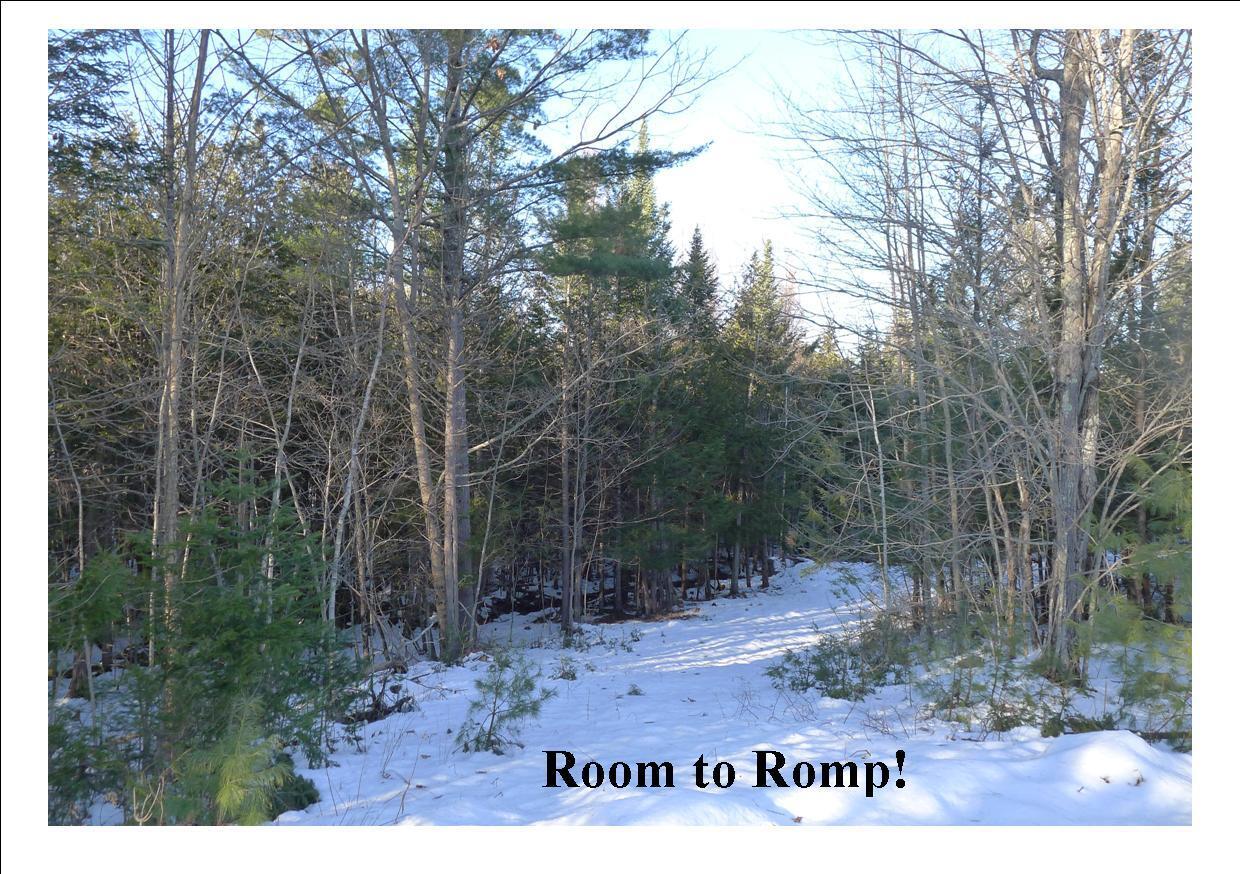 8 Stone Road Dixfield, ME 04224 - Photo 17 of 23 Room to Romp!