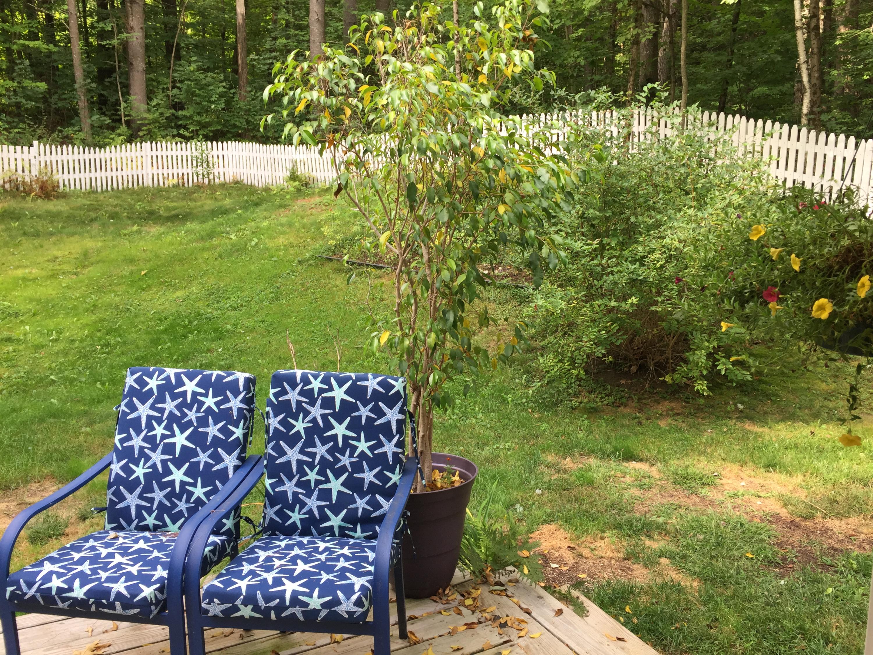 21 Smith Road New Sharon, ME 04955 - Photo 23 of 34 IMG_4219