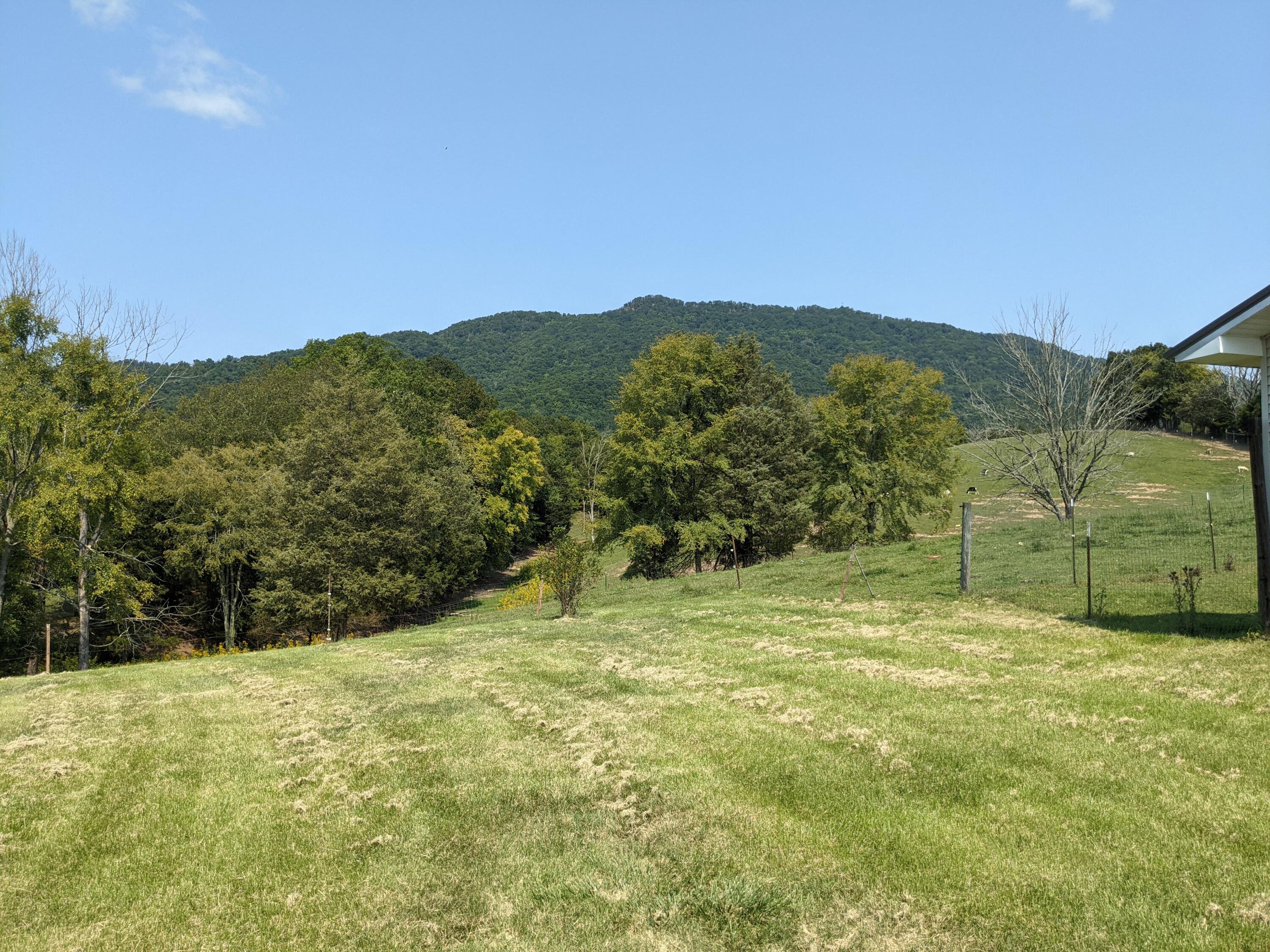 1780 Nelse Roberts Road Chuckey, TN 37641 - Photo 21 of 22 PXL_20210912_160926509