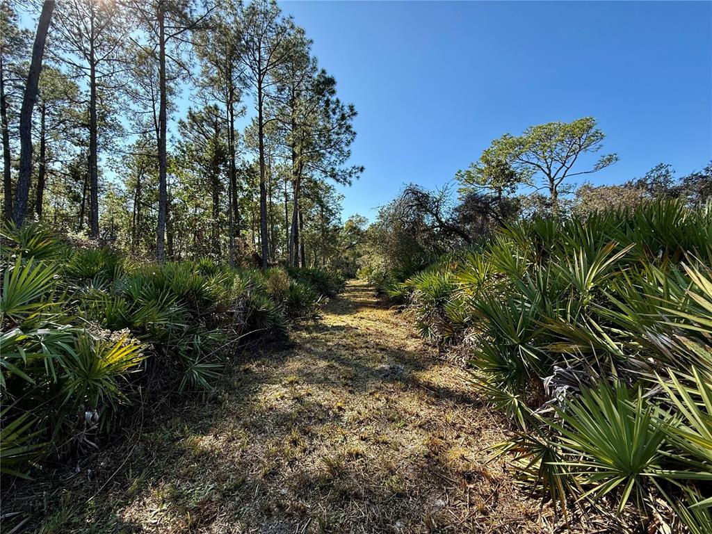 40001 Maggie Jones Road Eustis, FL 32736 - Photo 48 of 64 Gallery Image 48