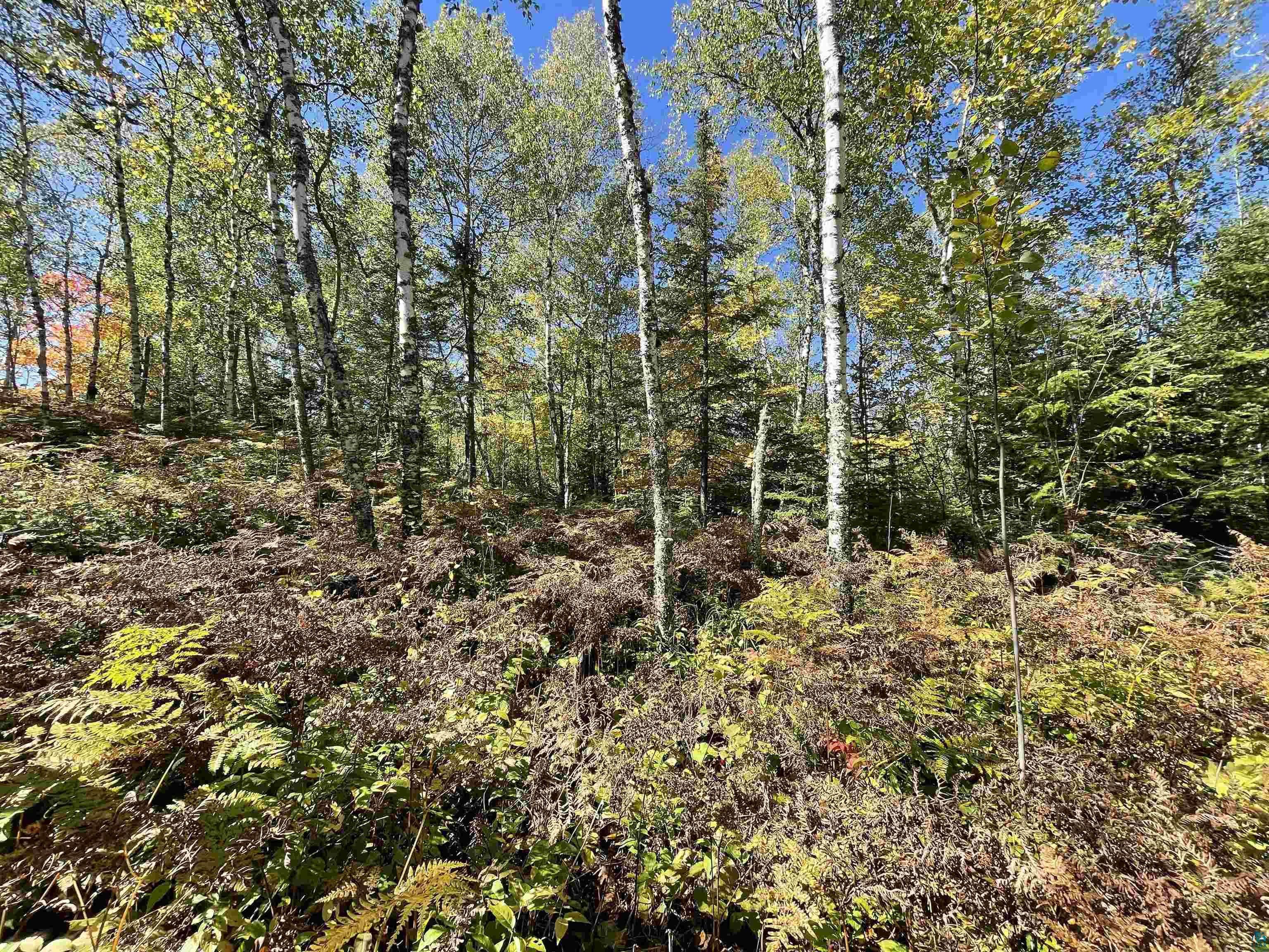 Xxxx Drake Road Duluth, MN 55803 - Photo 1 of 3