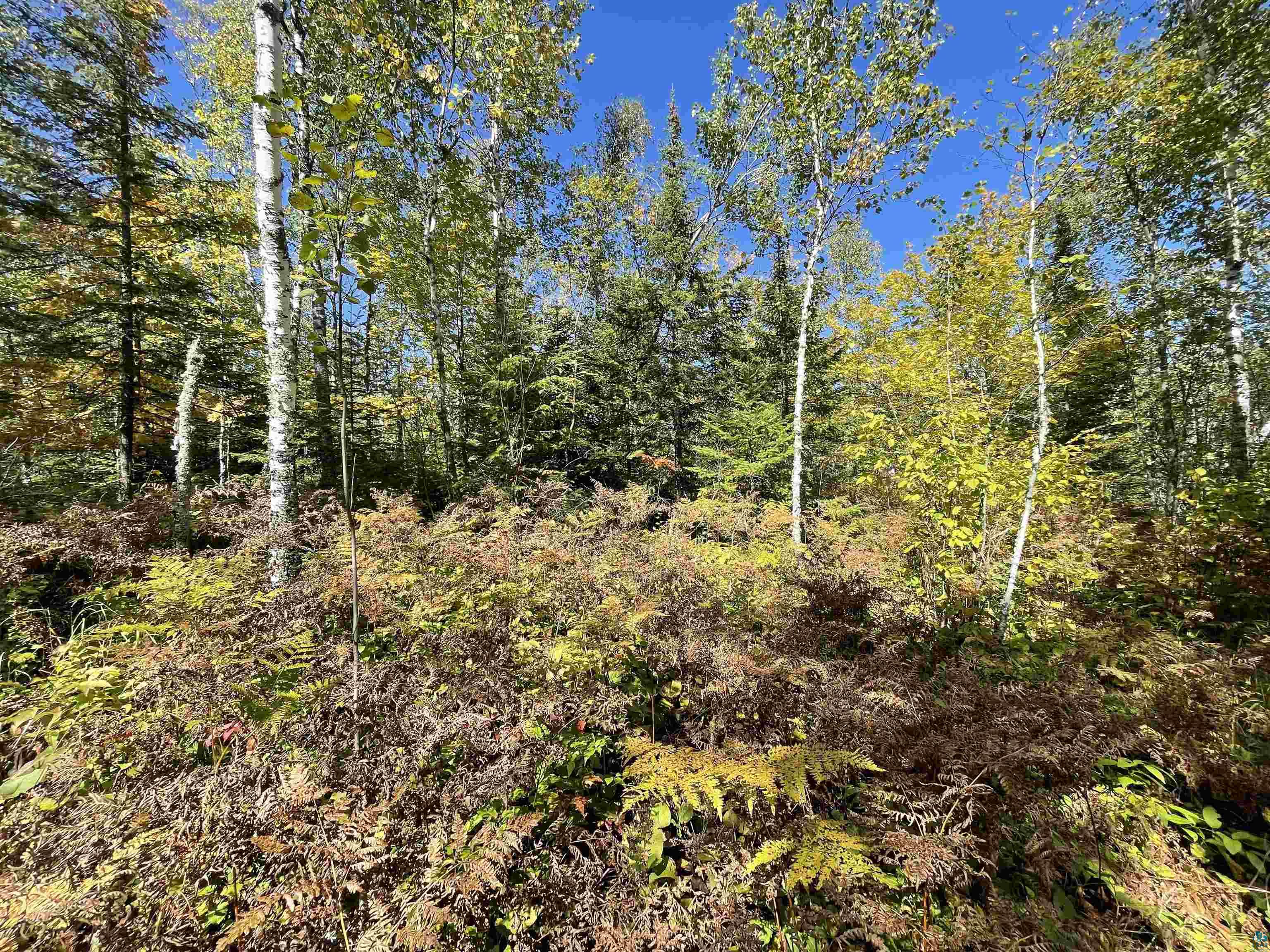 Xxxx Drake Road Duluth, MN 55803 - Photo 2 of 3