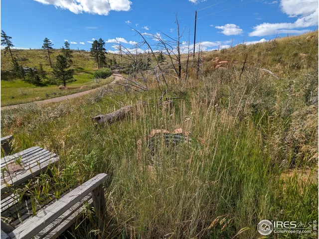 $57,500 | 1737 Eiger Road, Livermore, CO 80536