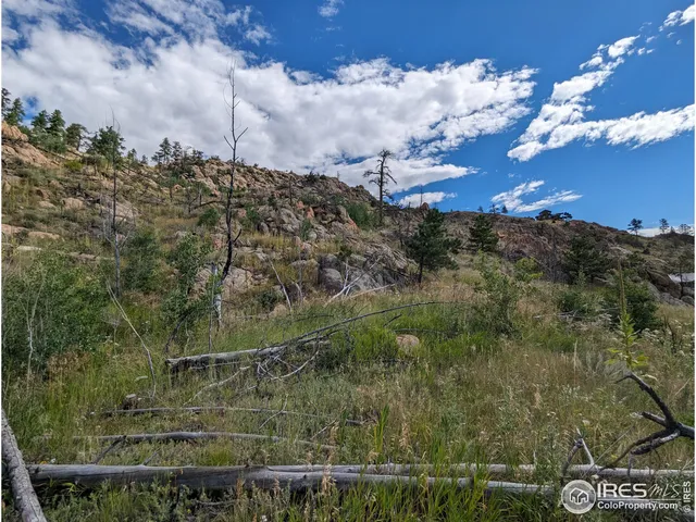 $57,500 | 1737 Eiger Road, Livermore, CO 80536