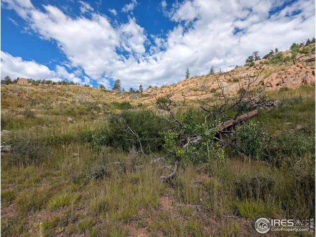 $57,500 | 1737 Eiger Road, Livermore, CO 80536