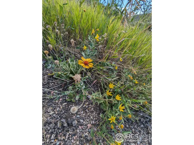 $57,500 | 1737 Eiger Road, Livermore, CO 80536