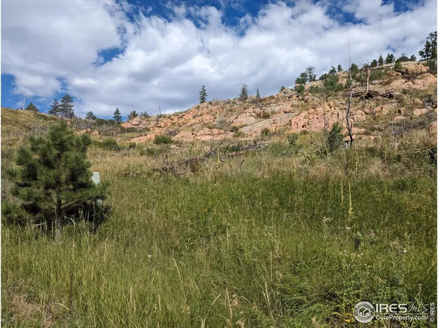 $57,500 | 1737 Eiger Road, Livermore, CO 80536