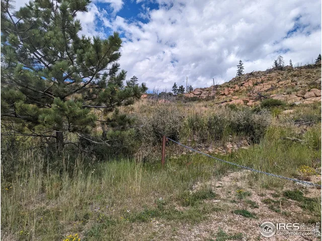 $57,500 | 1737 Eiger Road, Livermore, CO 80536