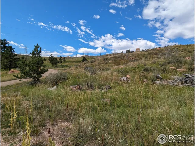 $57,500 | 1737 Eiger Road, Livermore, CO 80536