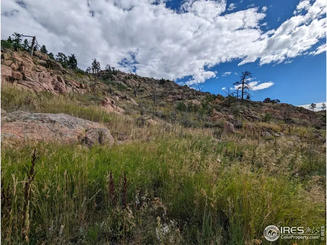 $57,500 | 1737 Eiger Road, Livermore, CO 80536