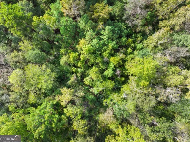 $69,000 | 0 Plantation Pointe Drive, Statesboro, GA 30461