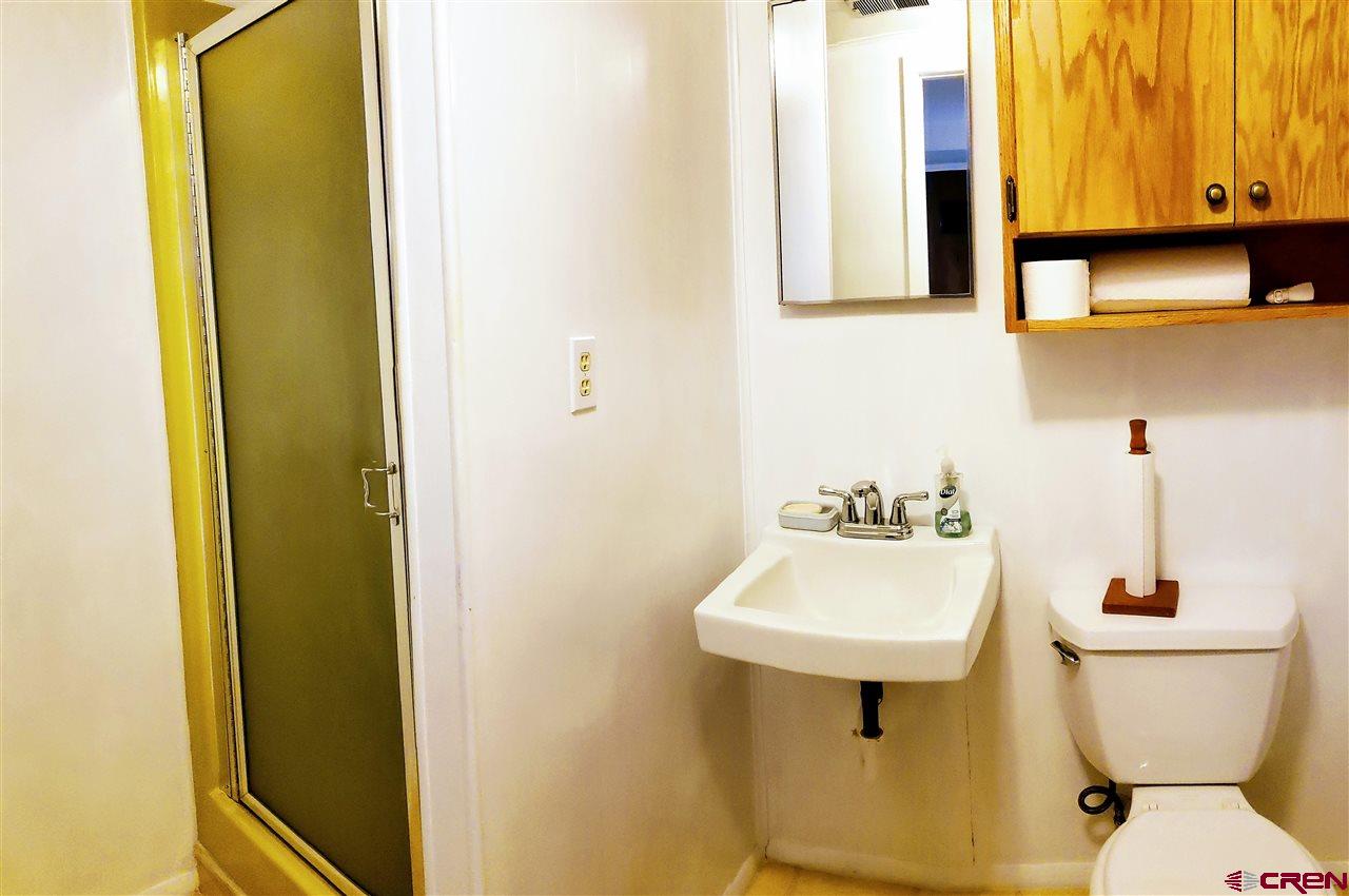 20106 Fairview Road Austin, CO 81410 - Photo 25 of 33