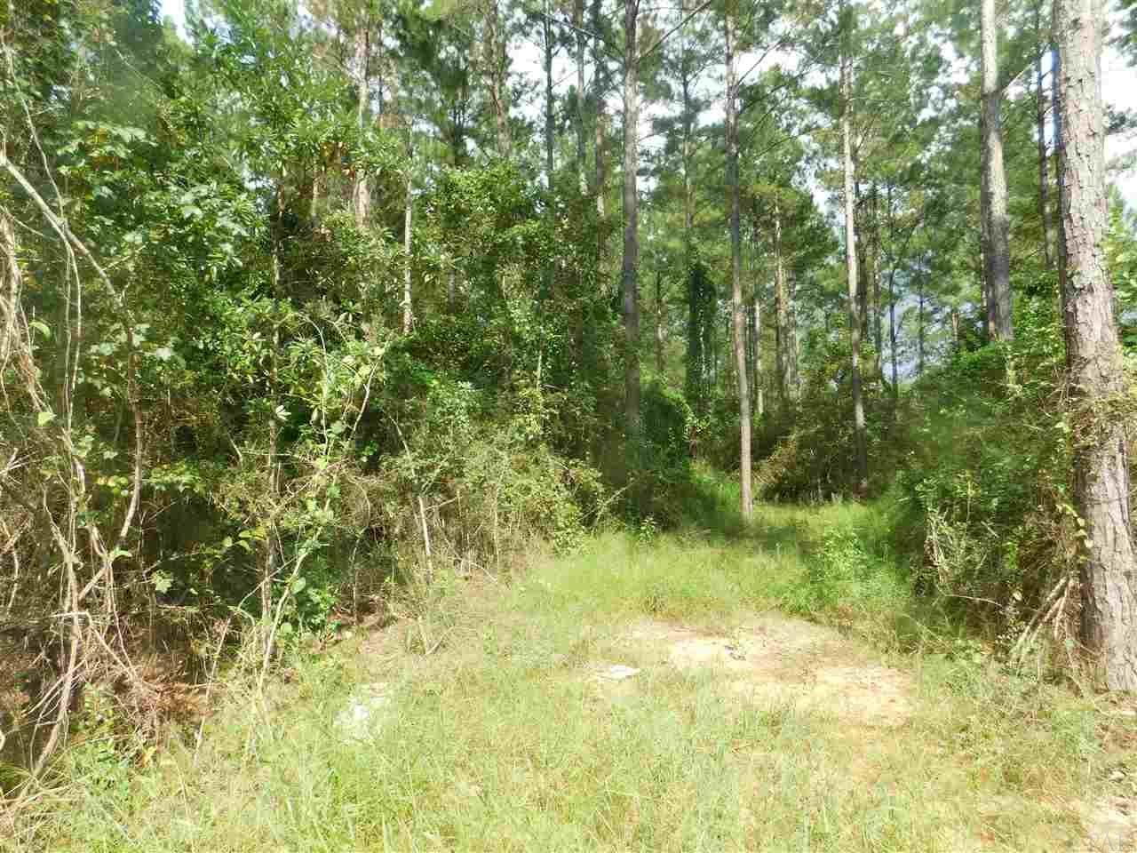 Lot Csw Lot Csw Gin Road Pace, FL 32571 - Photo 1 of 8 Gallery Image 1