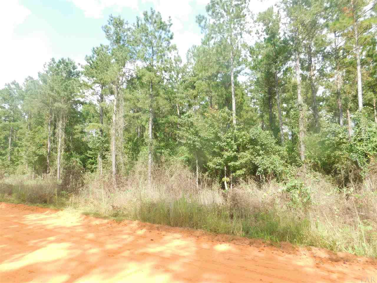 Lot Csw Lot Csw Gin Road Pace, FL 32571 - Photo 3 of 8 Gallery Image 3