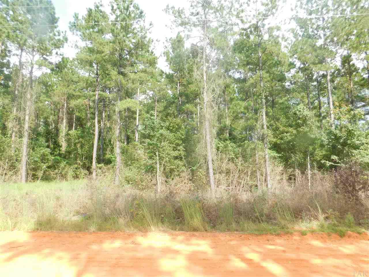 Lot Csw Lot Csw Gin Road Pace, FL 32571 - Photo 4 of 8 Gallery Image 4