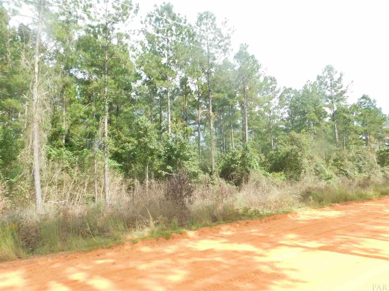 Lot Csw Lot Csw Gin Road Pace, FL 32571 - Photo 5 of 8 Gallery Image 5