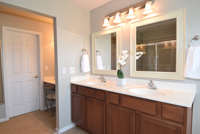 N761 Bartelt Road Geneva, IL 60134 - Photo 14 of 22 a bathroom with a double vanity sink and a mirror