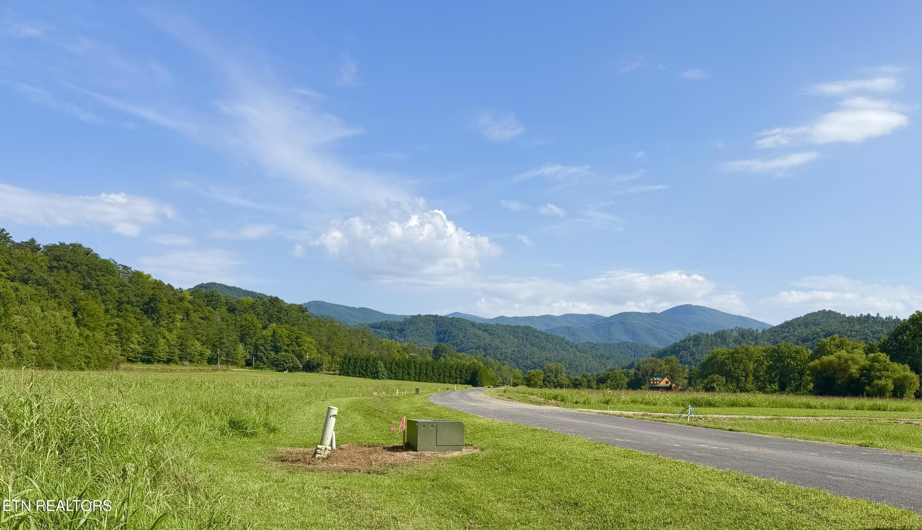 Lot 147 River Rpds Way Del Rio, TN 37727 - Photo 1 of 22 View from House Sites