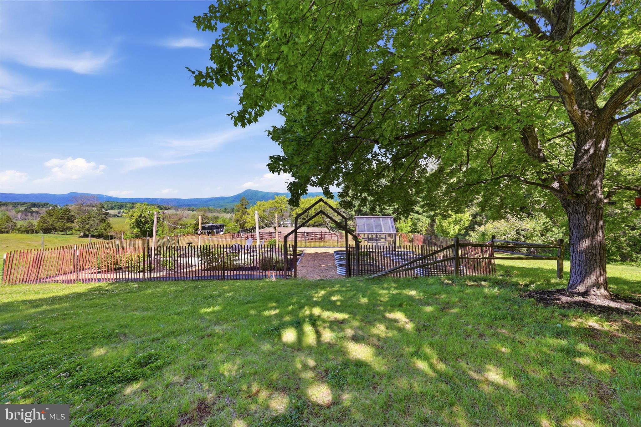 338 Springfield Estates Drive Rileyville, VA 22650 - Photo 84 of 99 Backyard