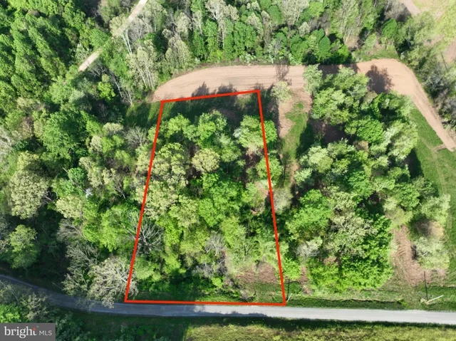 a view of a yard in a garden