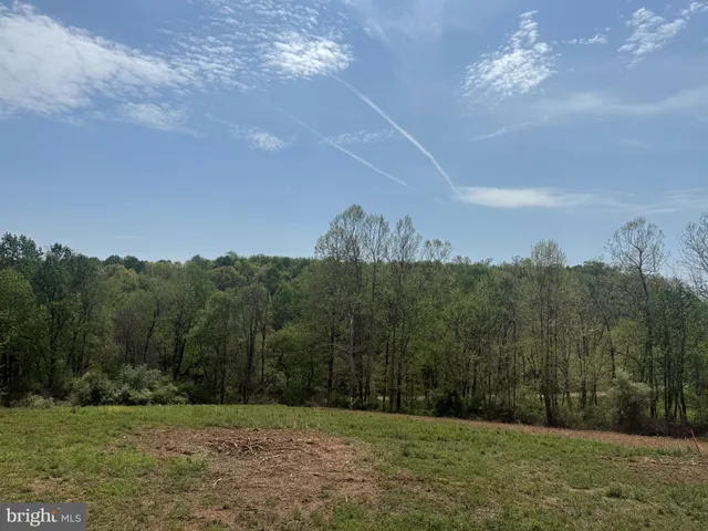 a view of a grassy field with trees in the background