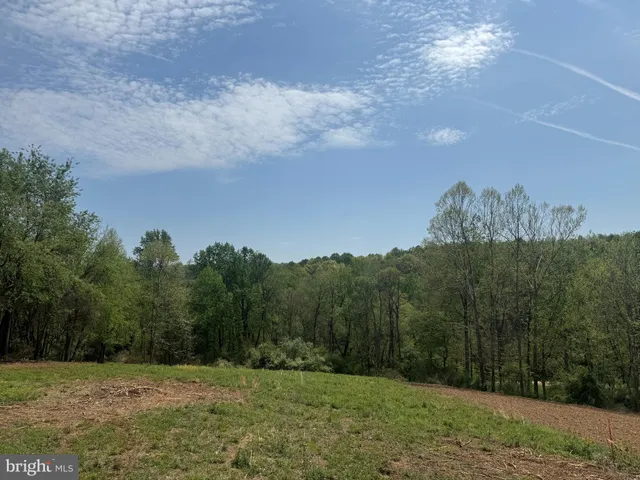 a view of a grassy field with trees in the background