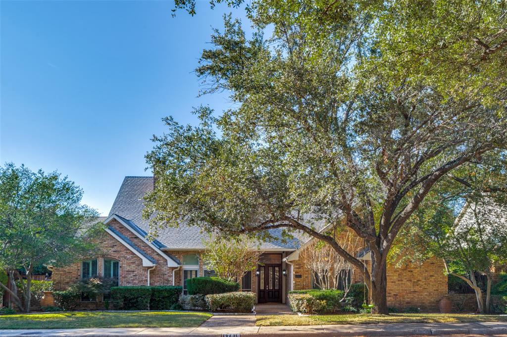 a tree in a field with a tree