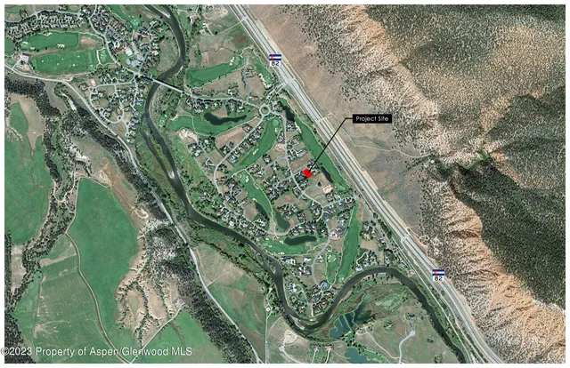 a bird with lots of trees