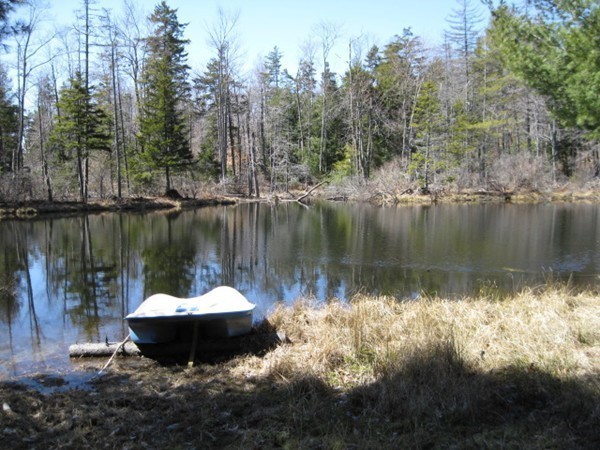 58 East Windsor Road Worthington, MA 01098 - Photo 22 of 24 Gallery Image 22