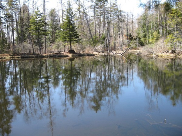 58 East Windsor Road Worthington, MA 01098 - Photo 23 of 24 Gallery Image 23