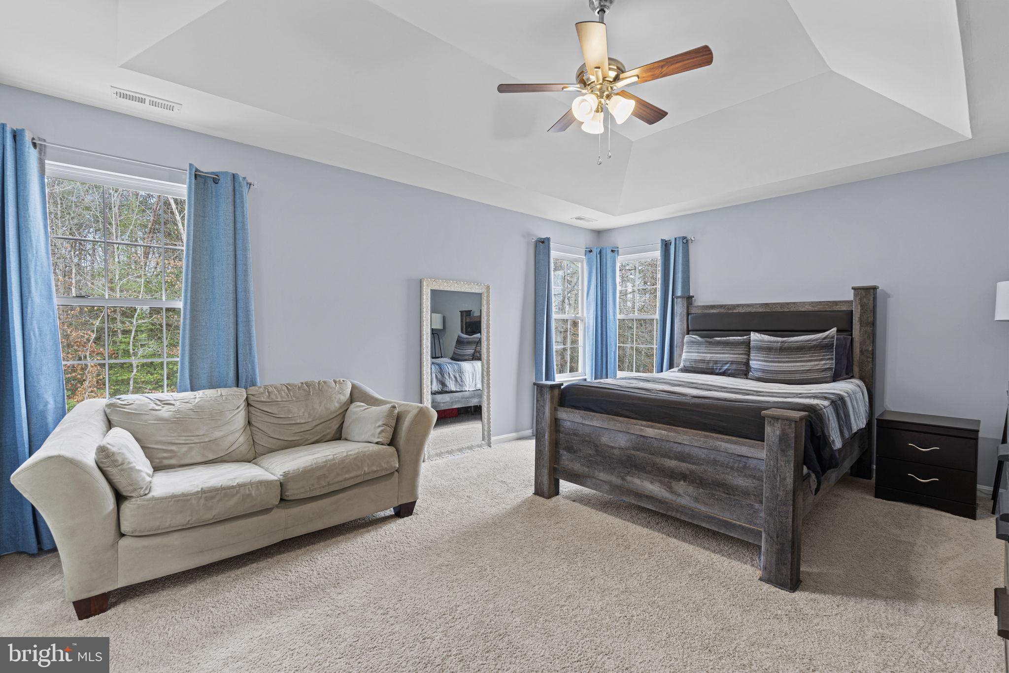 5423 South Branch Road Fredericksburg, VA 22407 - Photo 13 of 25 Primary bedroom with tray ceiling