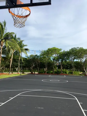 a view of three palm trees