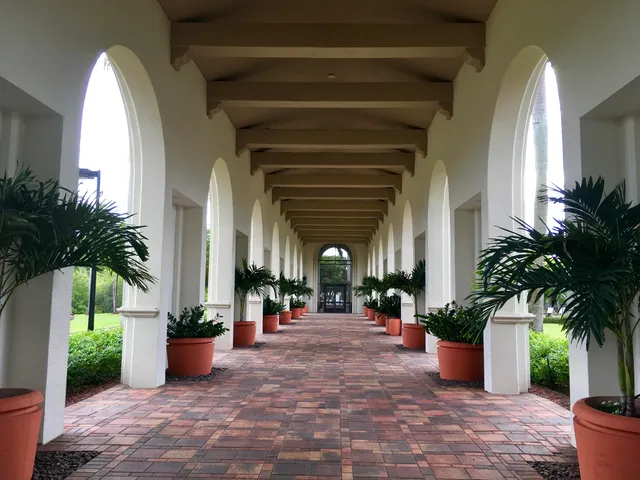 a view of outdoor space yard and patio