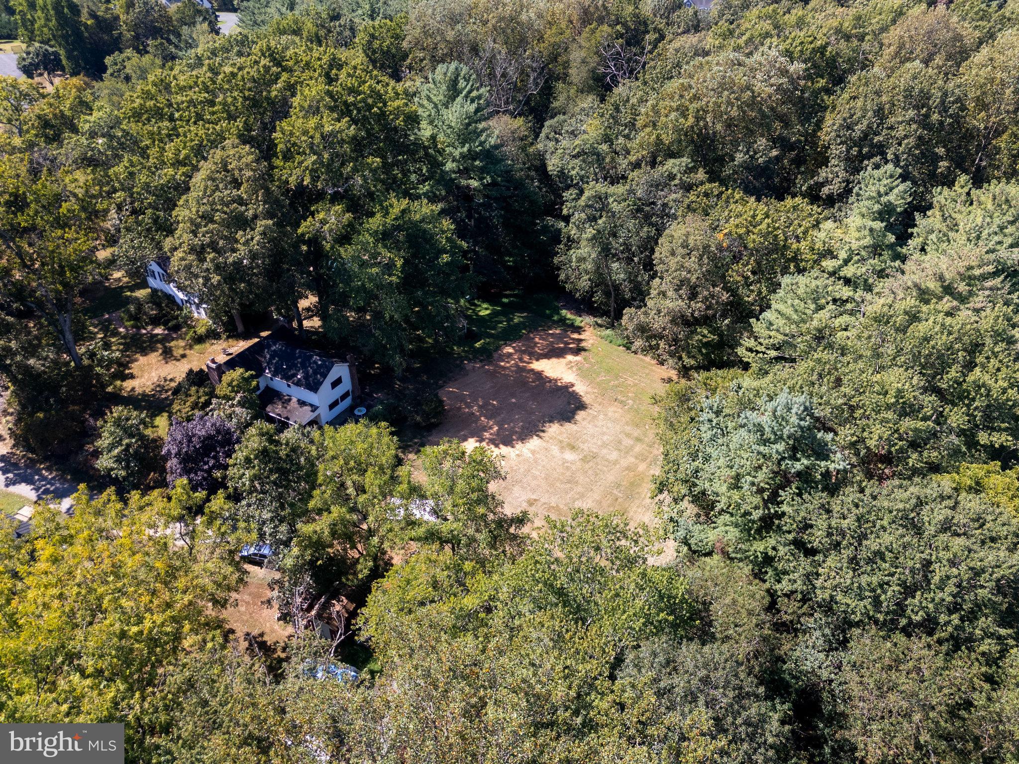 11214 Stuart Mill Road Oakton, VA 22124 - Photo 17 of 26 a view of a forest with trees