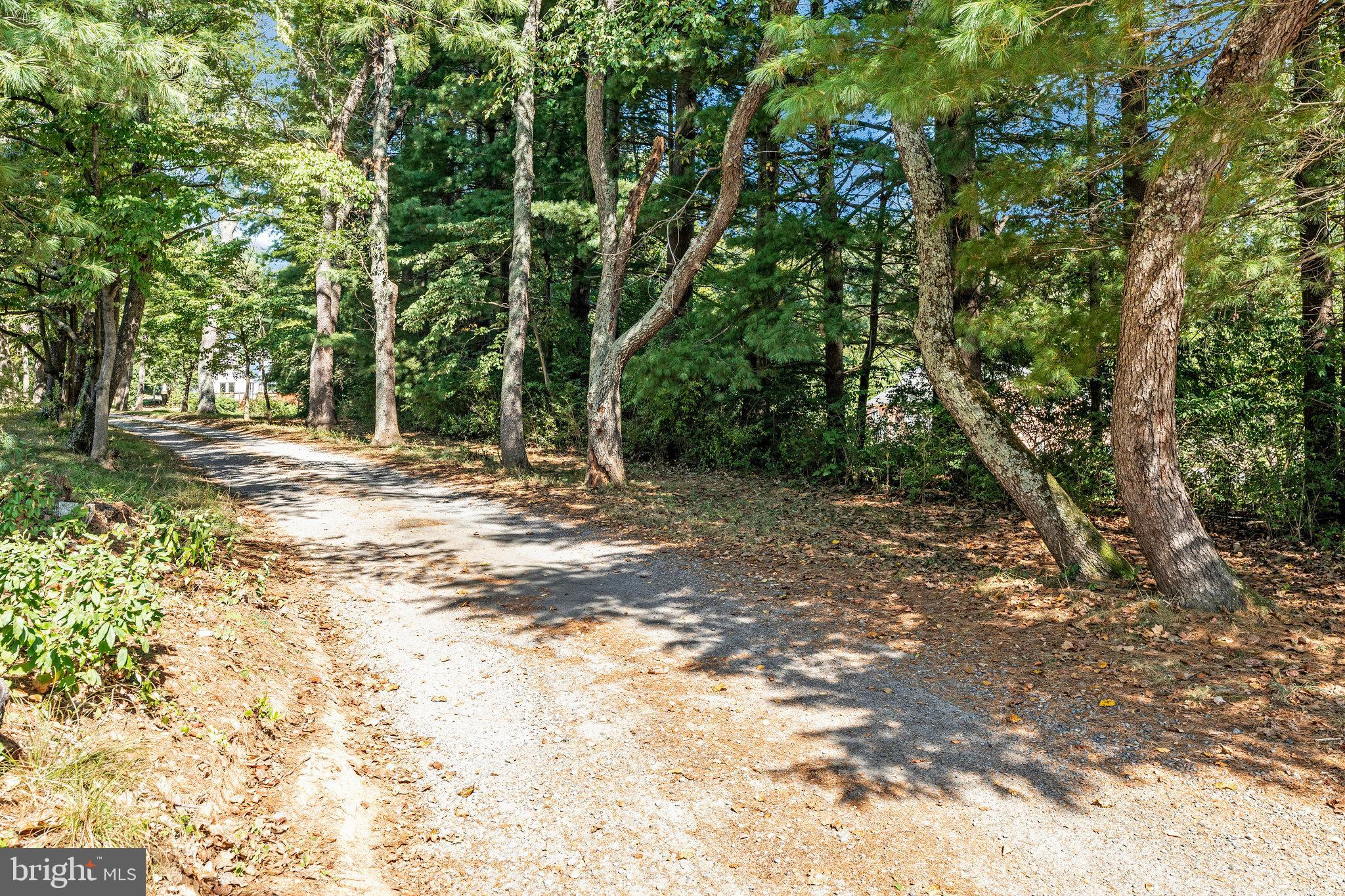 11214 Stuart Mill Road Oakton, VA 22124 - Photo 2 of 26 a view of a yard with large trees