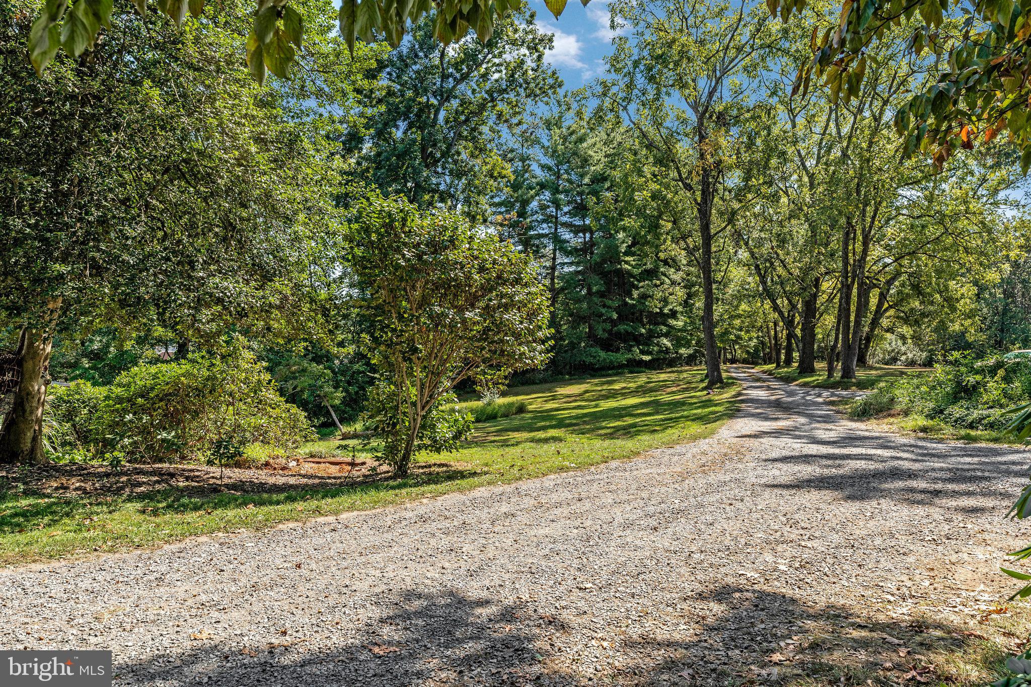 11214 Stuart Mill Road Oakton, VA 22124 - Photo 3 of 26 a view of backyard with green space
