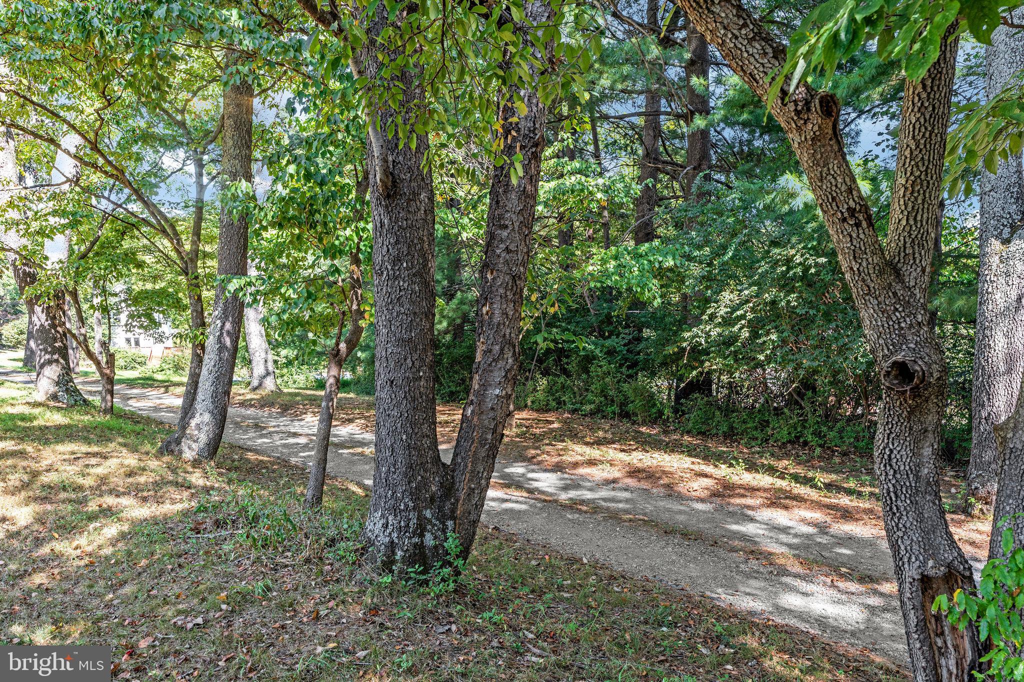 11214 Stuart Mill Road Oakton, VA 22124 - Photo 4 of 26 a view of backyard of a house with lots of green space