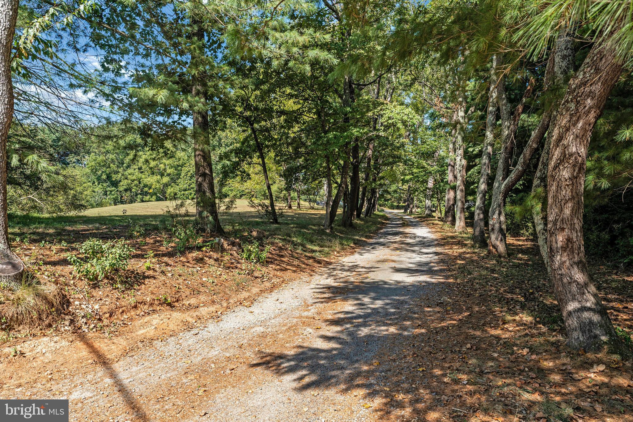 11214 Stuart Mill Road Oakton, VA 22124 - Photo 5 of 26 a view of backyard with green space