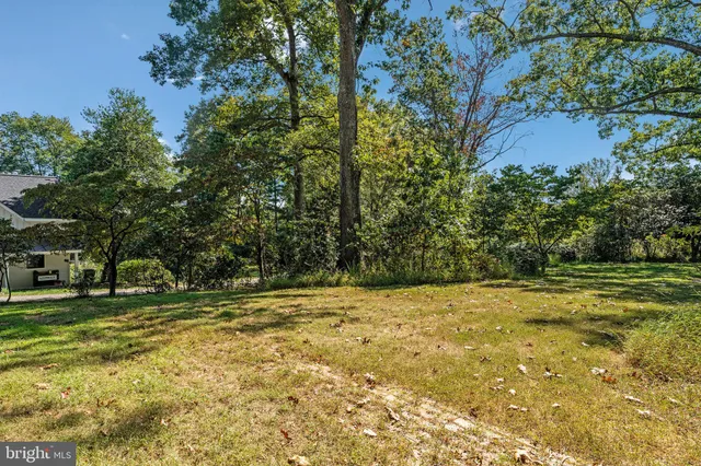 a view of a yard with a trees