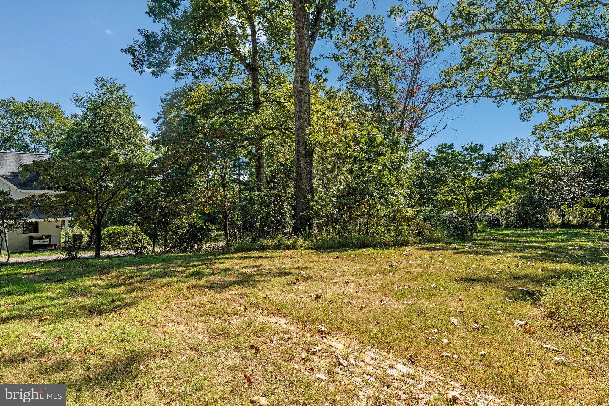 11214 Stuart Mill Road Oakton, VA 22124 - Photo 7 of 26 a view of a yard with a trees