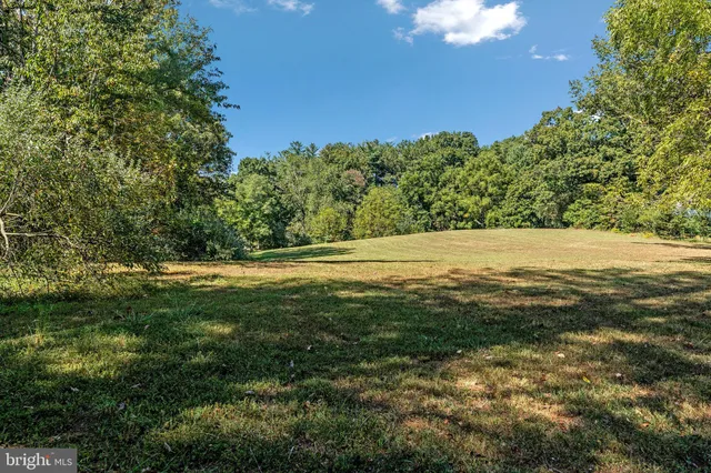 a view of a field with an ocean
