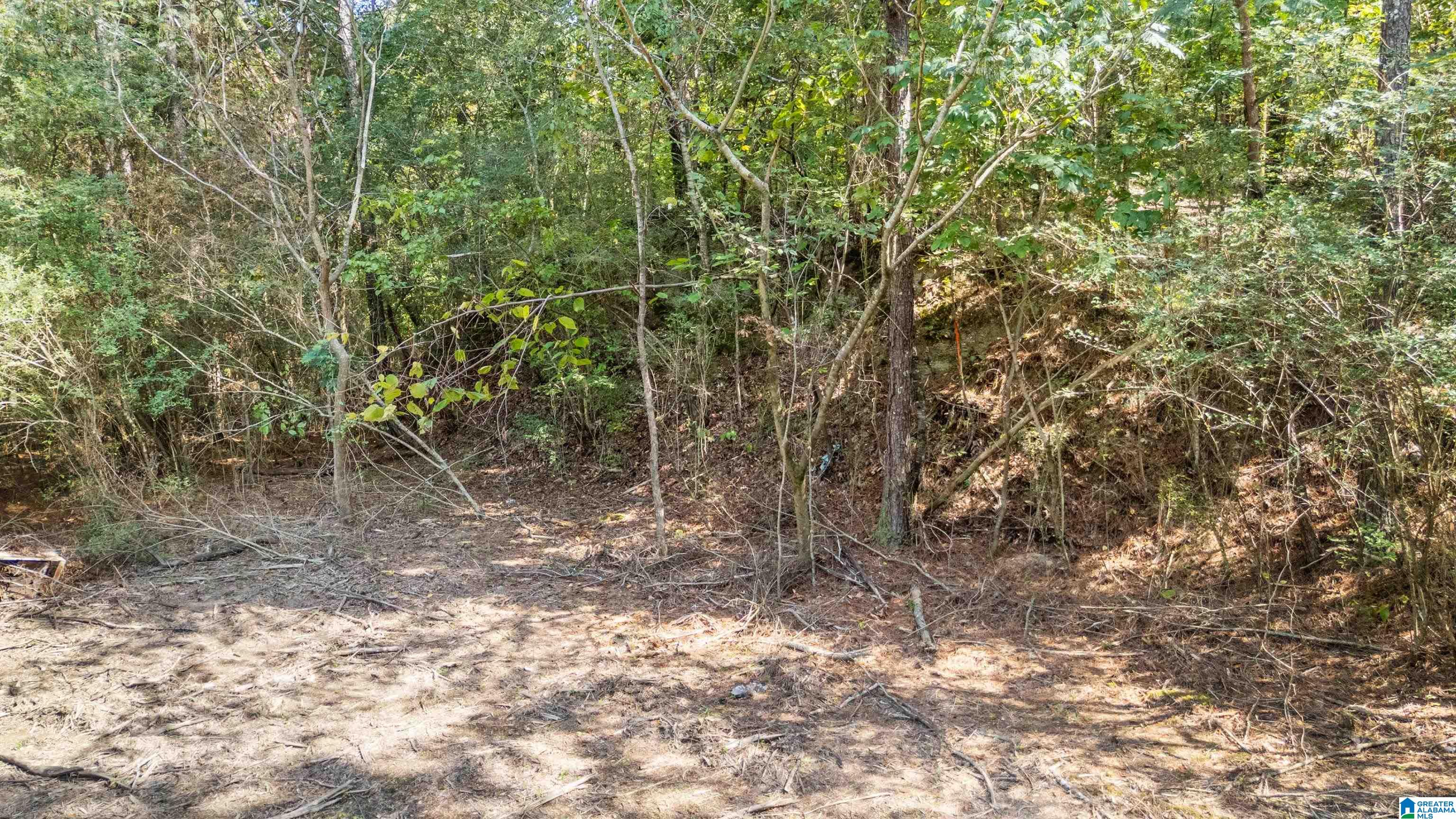 4339 Pine Ridge Road, Unit 1 Mount Olive, AL 35117 - Photo 27 of 34