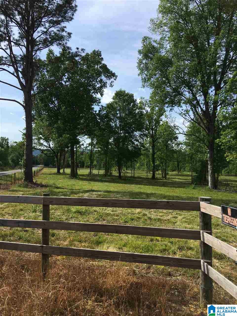 0 County Road 31 Springville, AL 35146 - Photo 1 of 18 Gallery Image 1