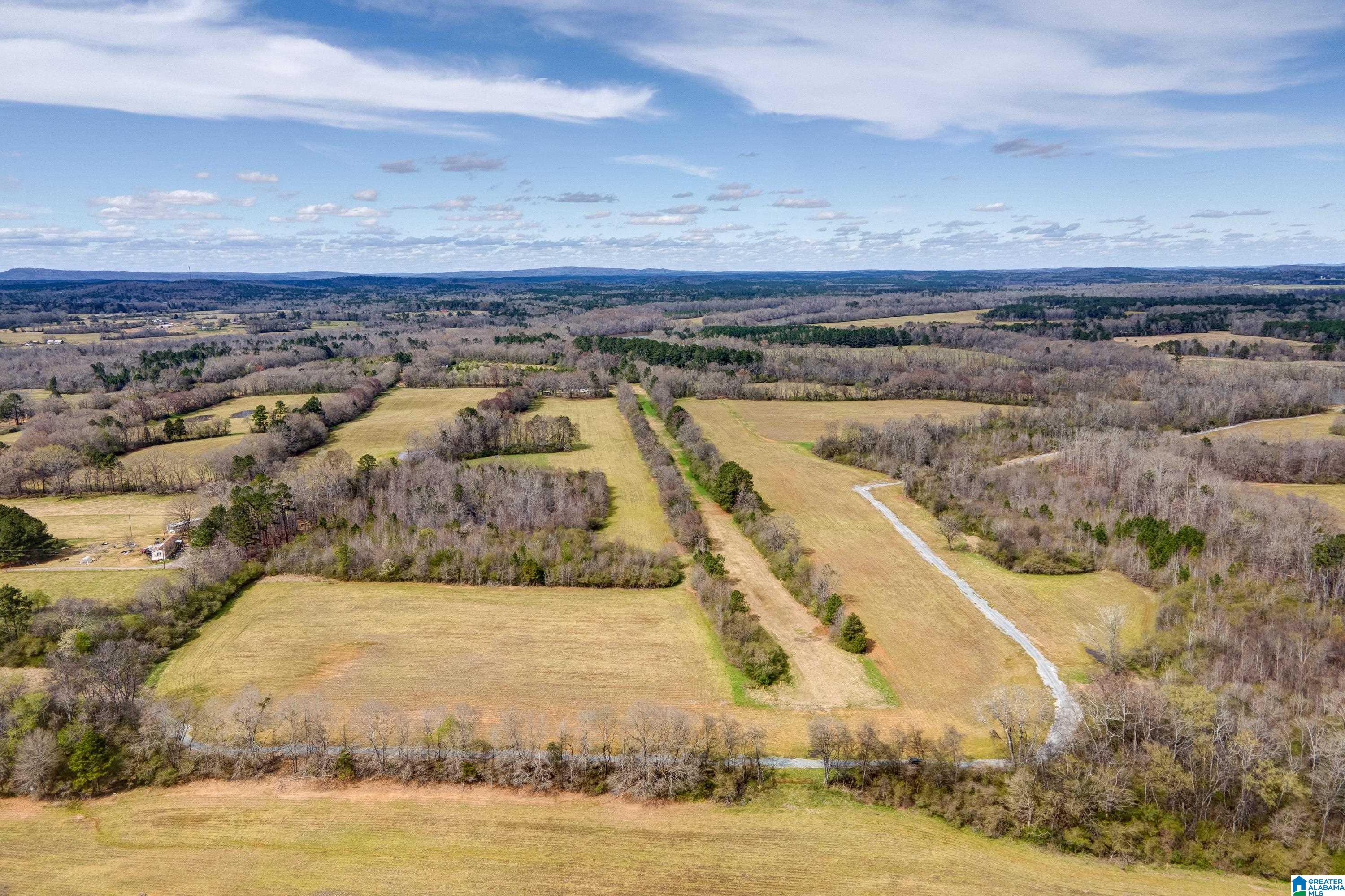 Bates Road, Unit 100 Vincent, AL 35178 - Photo 9 of 29