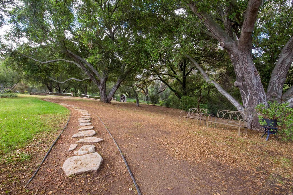 1793 Rocrest Road Alpine, CA 91901 - Photo 56 of 63 a view of a yard with plants and trees
