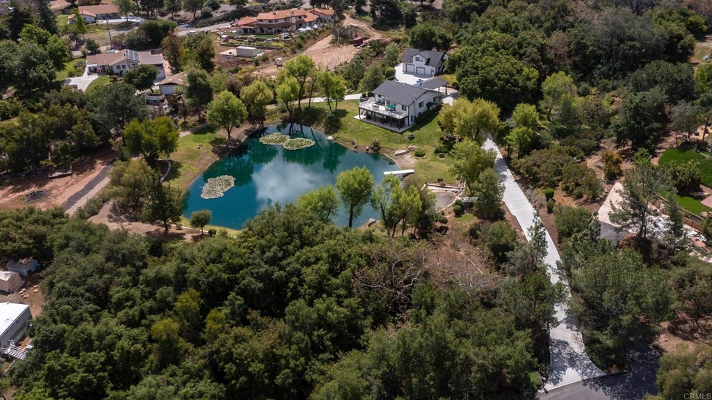 1793 Rocrest Road Alpine, CA 91901 - Photo 62 of 63 an aerial view of residential houses with outdoor space and trees