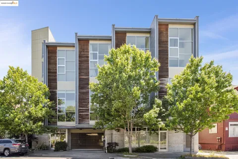 front view of house with a tree