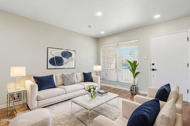 a living room with furniture and a potted plant